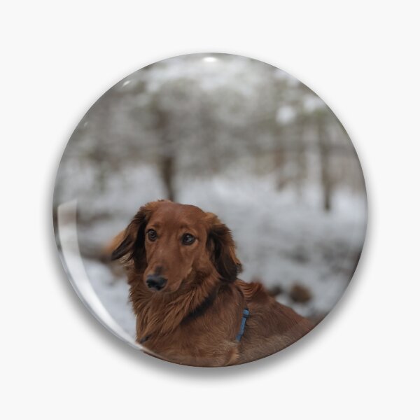 Item preview, Whiskey... I'm on the way... does she have a treat? designed and sold by ManthoDesign.