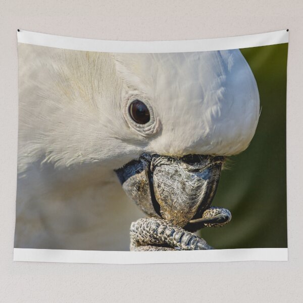 Item preview, Cockatoo Portrait designed and sold by JohnKarmouche.