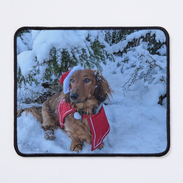 Item preview, Whiskey the Christmas dog.. oh so late designed and sold by ManthoDesign.
