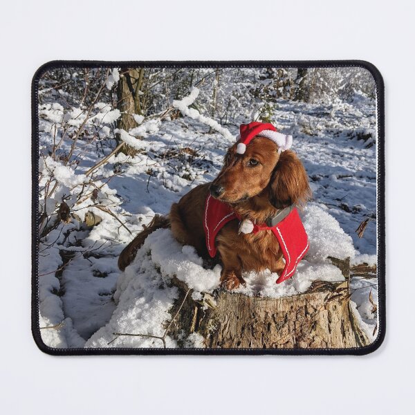 Item preview, Whiskey the Christmas dog.. where is the sleigh designed and sold by ManthoDesign.