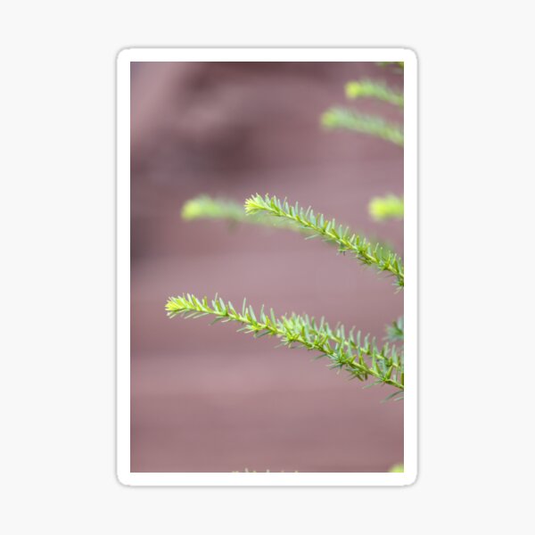 Finger Needles Sticker