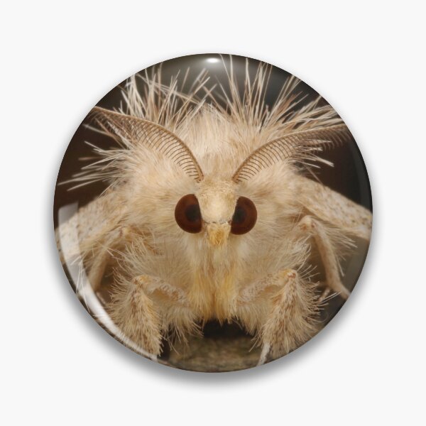 Item preview, Tussock Moth designed and sold by itchydogimages.