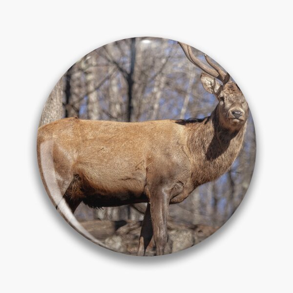 Item preview, Red Deer designed and sold by Eunice Gibb.