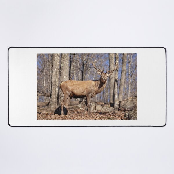 Item preview, Red Deer designed and sold by Eunice Gibb.