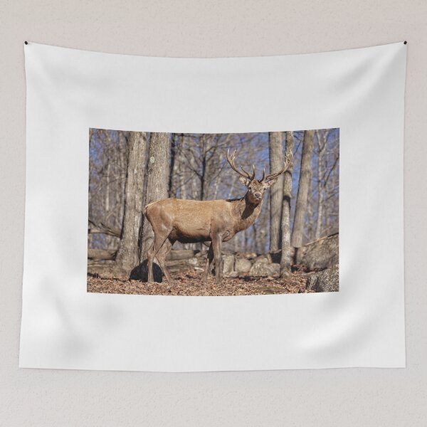 Item preview, Red Deer designed and sold by Eunice Gibb.