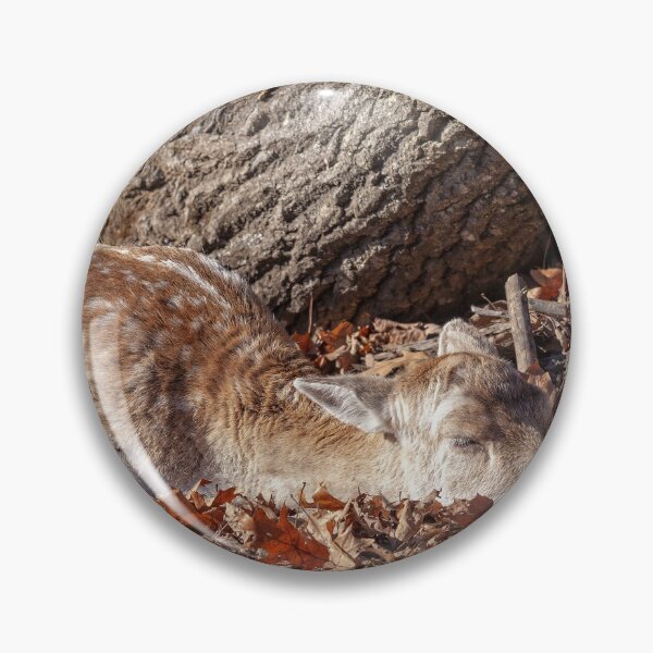 Item preview, Fallow Deer designed and sold by Eunice Gibb.