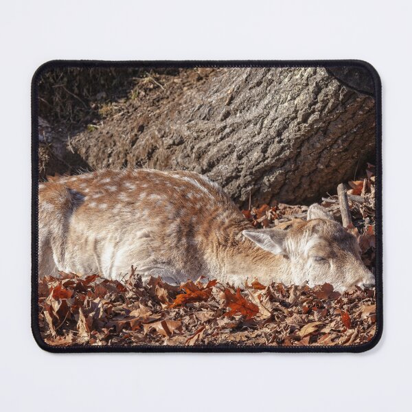 Item preview, Fallow Deer designed and sold by Eunice Gibb.