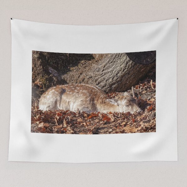 Item preview, Fallow Deer designed and sold by Eunice Gibb.