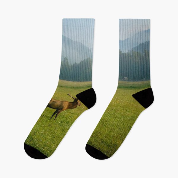 Item preview, A Moment of Peace designed and sold by Craig Kauzmann.