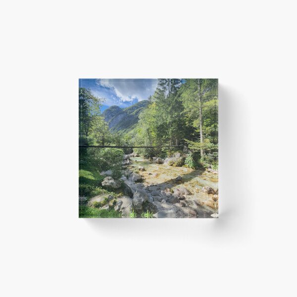 Item preview, A Bridge of Green designed and sold by CESW Photography.