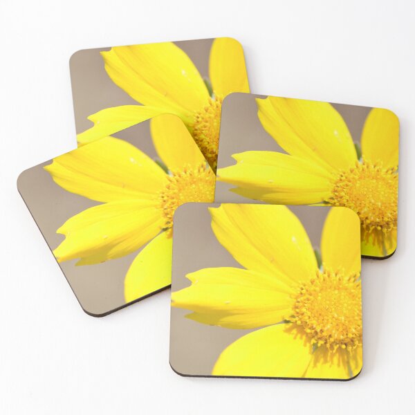 Item preview, Coreopsis Flower designed and sold by Paula Betz.