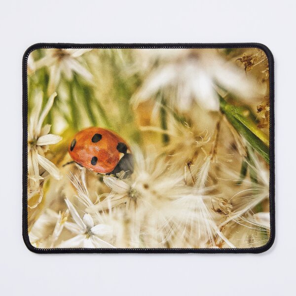 Item preview, Desert Ladybug designed and sold by Jason Tompkins.