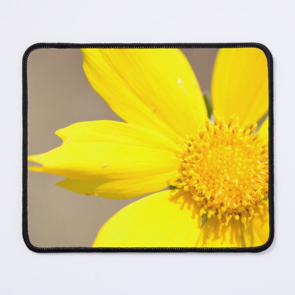 Item preview, Coreopsis Flower designed and sold by Paula Betz.