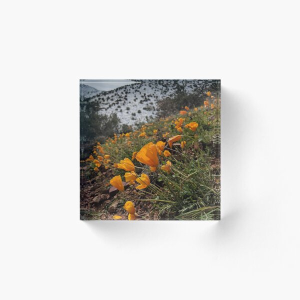 Item preview, Orange Mountain Flowers designed and sold by CESW Photography.