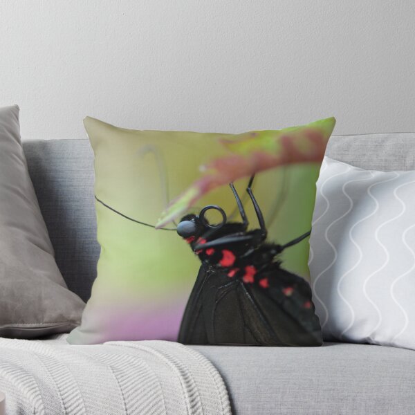 Item preview, Black and Red Scarlet Mormon Butterfly designed and sold by Paula Betz.