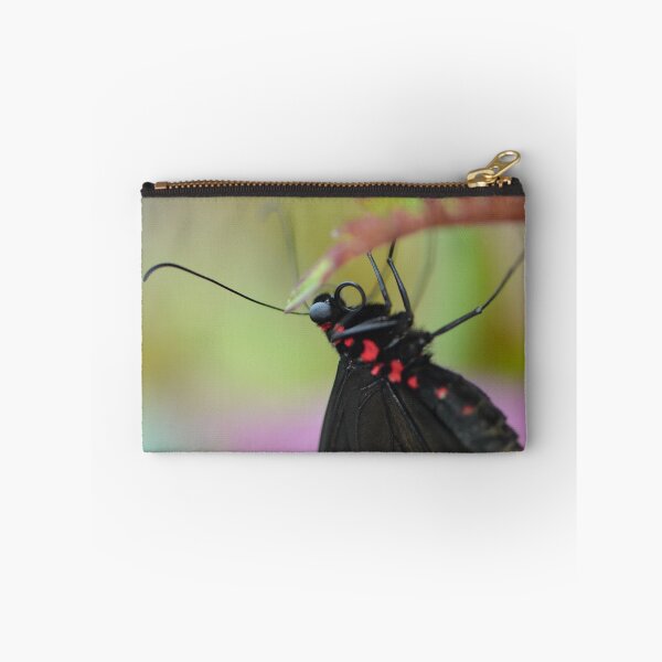 Item preview, Black and Red Scarlet Mormon Butterfly designed and sold by Paula Betz.