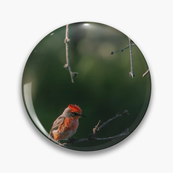 Item preview, Vermillion Flycatcher designed and sold by CESW Photography.
