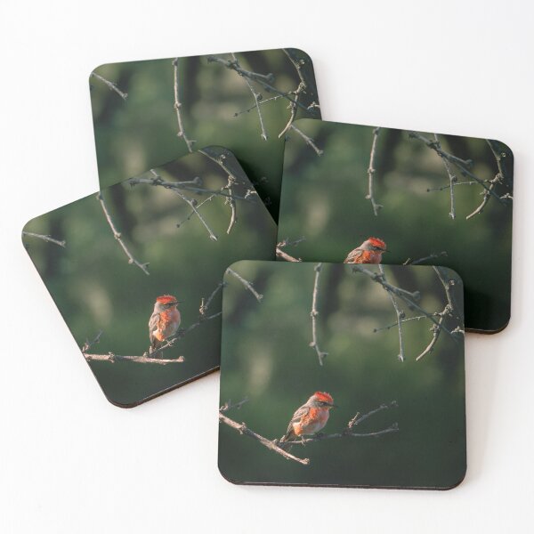 Item preview, Vermillion Flycatcher designed and sold by CESW Photography.