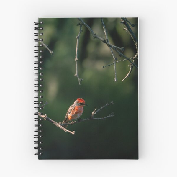 Item preview, Vermillion Flycatcher designed and sold by CESW Photography.