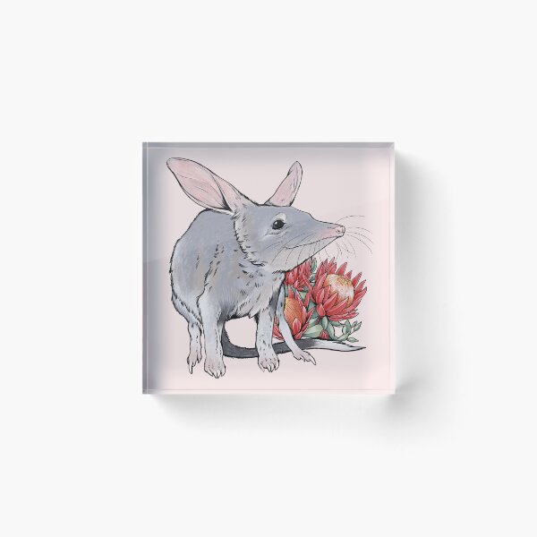 Item preview, Australia Bilby Bandicoot and Protea Flower  designed and sold by Mousewren.