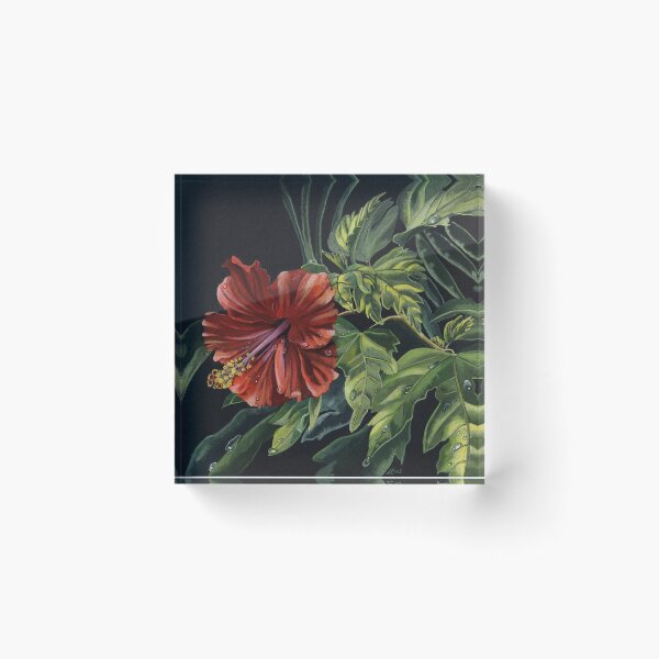 Item preview, Hibiscus (acrylic and gouache on black card) designed and sold by Painting By Nature.