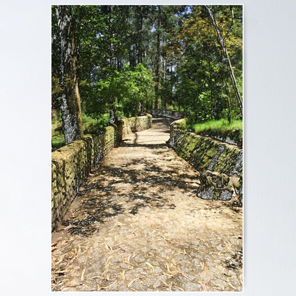 Item preview, Path Through a Forest designed and sold by rhamm.