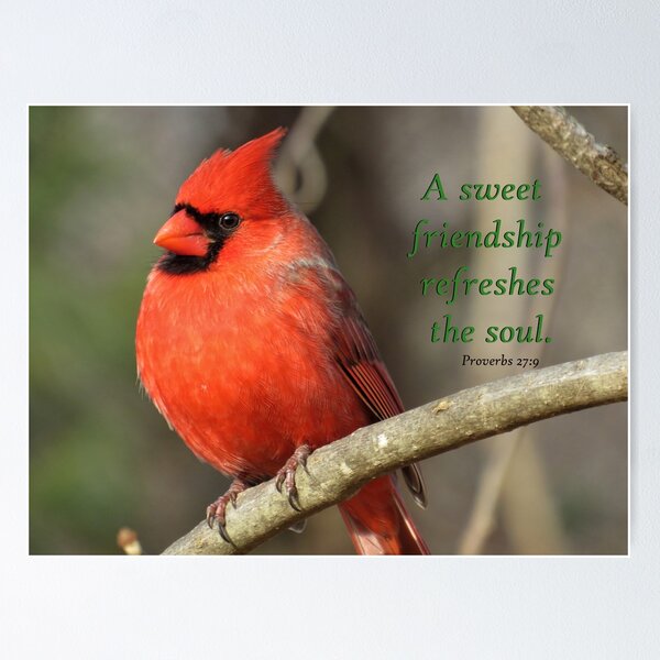 Item preview, Cardinal - Proverbs 27:9 designed and sold by JoanneKenney.