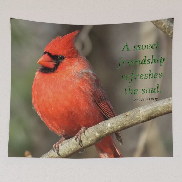 Item preview, Cardinal - Proverbs 27:9 designed and sold by JoanneKenney.