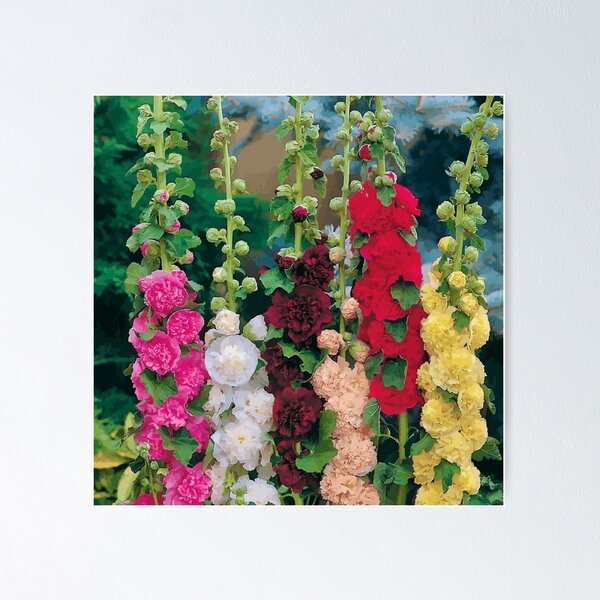Item preview, Colorful Hollyhocks in a Flower Garden designed and sold by Vicky Brago-Mitchell®.