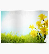 Daffodils Poster