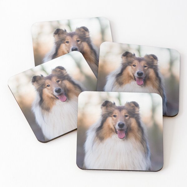 Item preview, Rough Coated Collie Photo designed and sold by TheAnimalZ00.