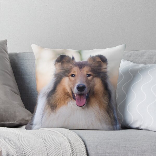 Item preview, Rough Coated Collie Photo designed and sold by TheAnimalZ00.