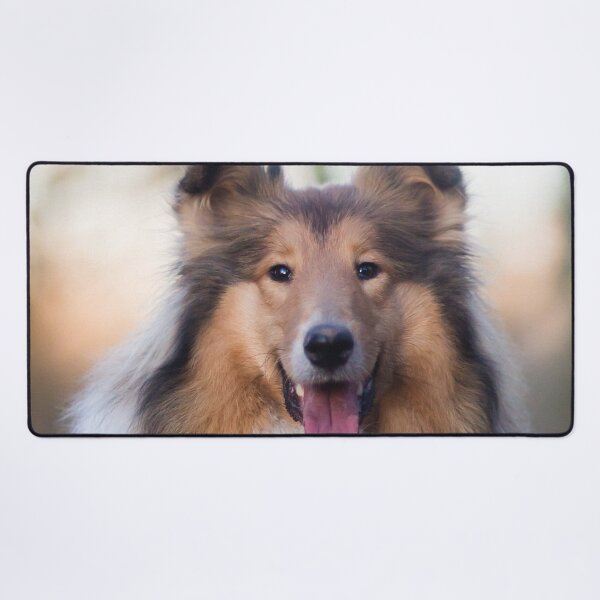 Item preview, Rough Coated Collie Photo designed and sold by TheAnimalZ00.