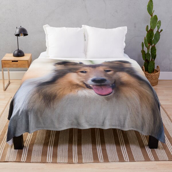 Item preview, Rough Coated Collie Photo designed and sold by TheAnimalZ00.
