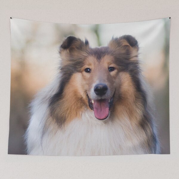 Item preview, Rough Coated Collie Photo designed and sold by TheAnimalZ00.