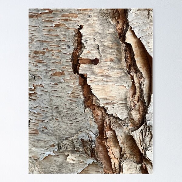 Item preview, Bark designed and sold by WidowMaker82.