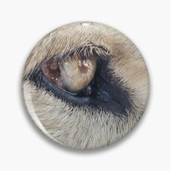 Item preview, Close-up Wolf Eyes Photographic Print - save the wolves designed and sold by abeautifulife.