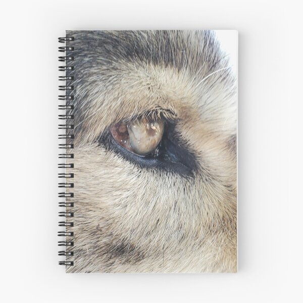 Item preview, Close-up Wolf Eyes Photographic Print - save the wolves designed and sold by abeautifulife.