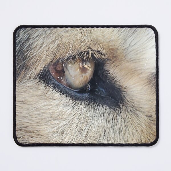 Item preview, Close-up Wolf Eyes Photographic Print - save the wolves designed and sold by abeautifulife.