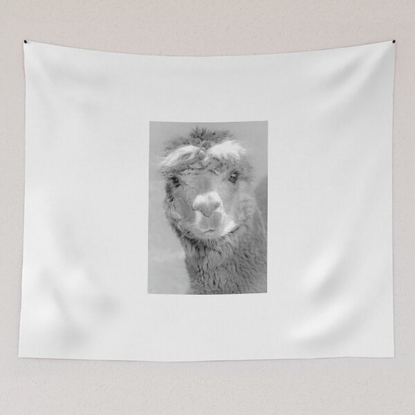 Item preview, BW Llama or Alpaca? designed and sold by JoyPhotoArt.