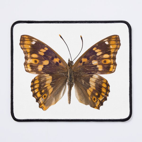 Item preview, Fluttering Wings designed and sold by assaf.