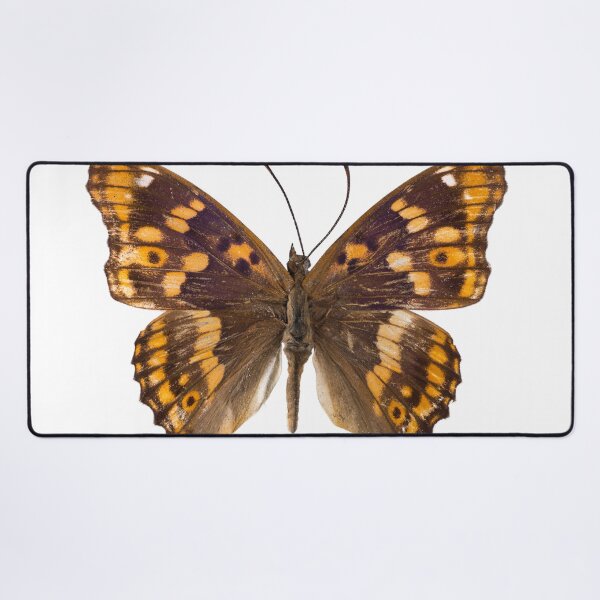 Item preview, Fluttering Wings designed and sold by assaf.