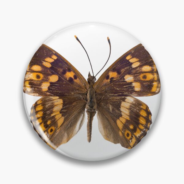 Item preview, Fluttering Wings designed and sold by assaf.