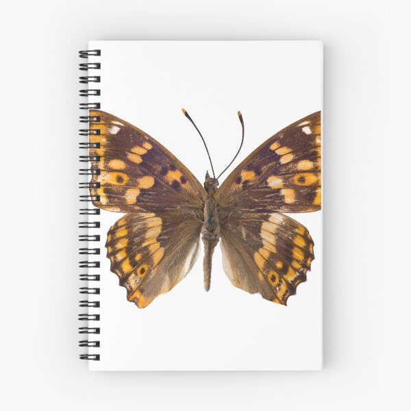 Item preview, Fluttering Wings designed and sold by assaf.
