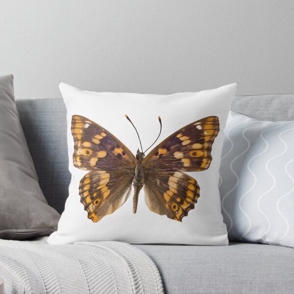 Item preview, Fluttering Wings designed and sold by assaf.