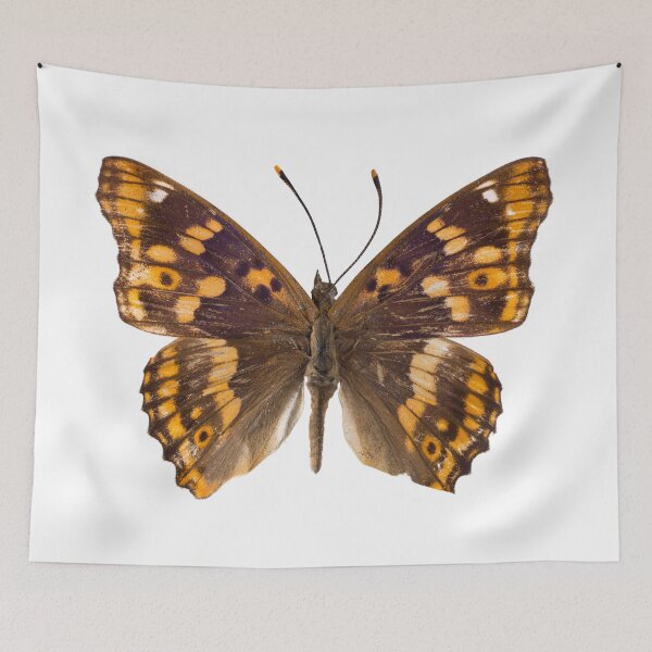 Item preview, Fluttering Wings designed and sold by assaf.