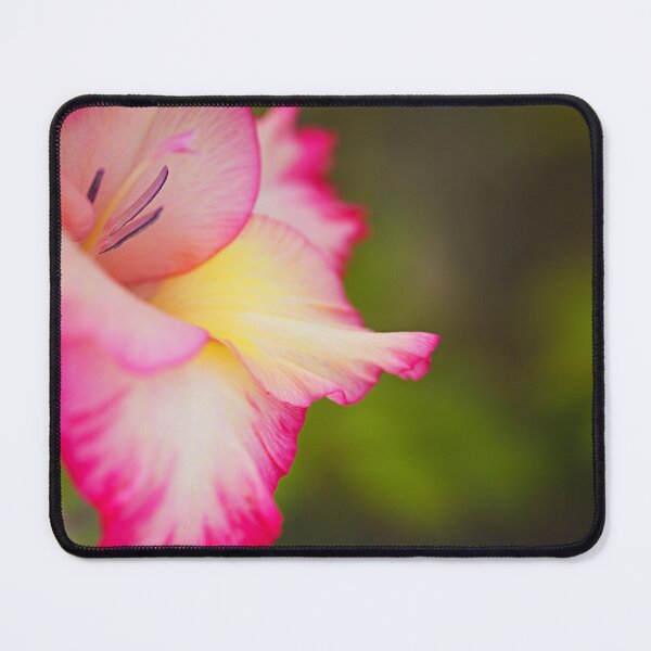 Item preview, Gladiolus Dreaming Over Green designed and sold by Joy Watson - Natural Light Photography .