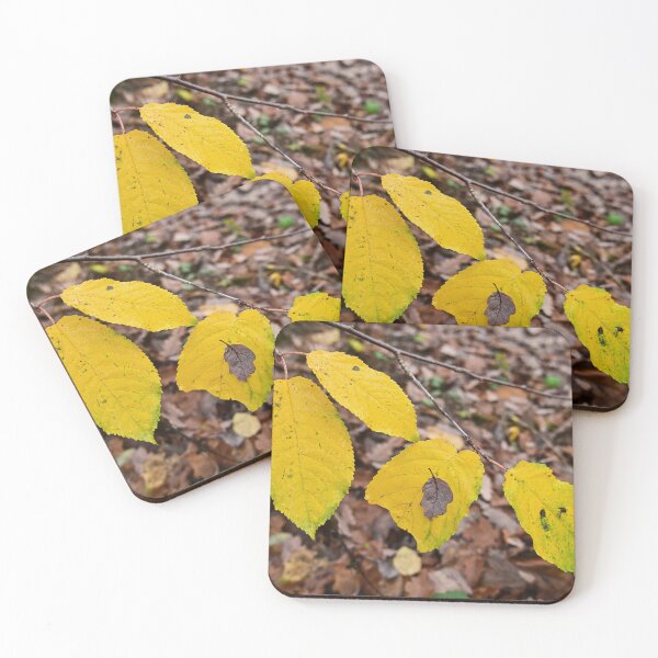 Item preview, Colorful autumn leaves designed and sold by Milan Latta.