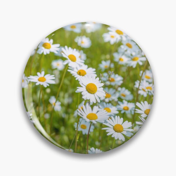Item preview, Daisy flowers designed and sold by assaf.