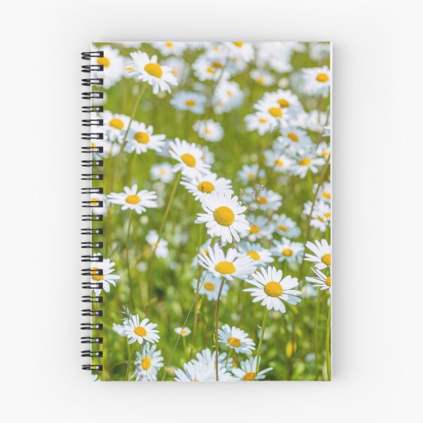 Item preview, Daisy flowers designed and sold by assaf.